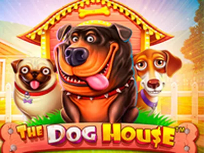 O dono da festa filme