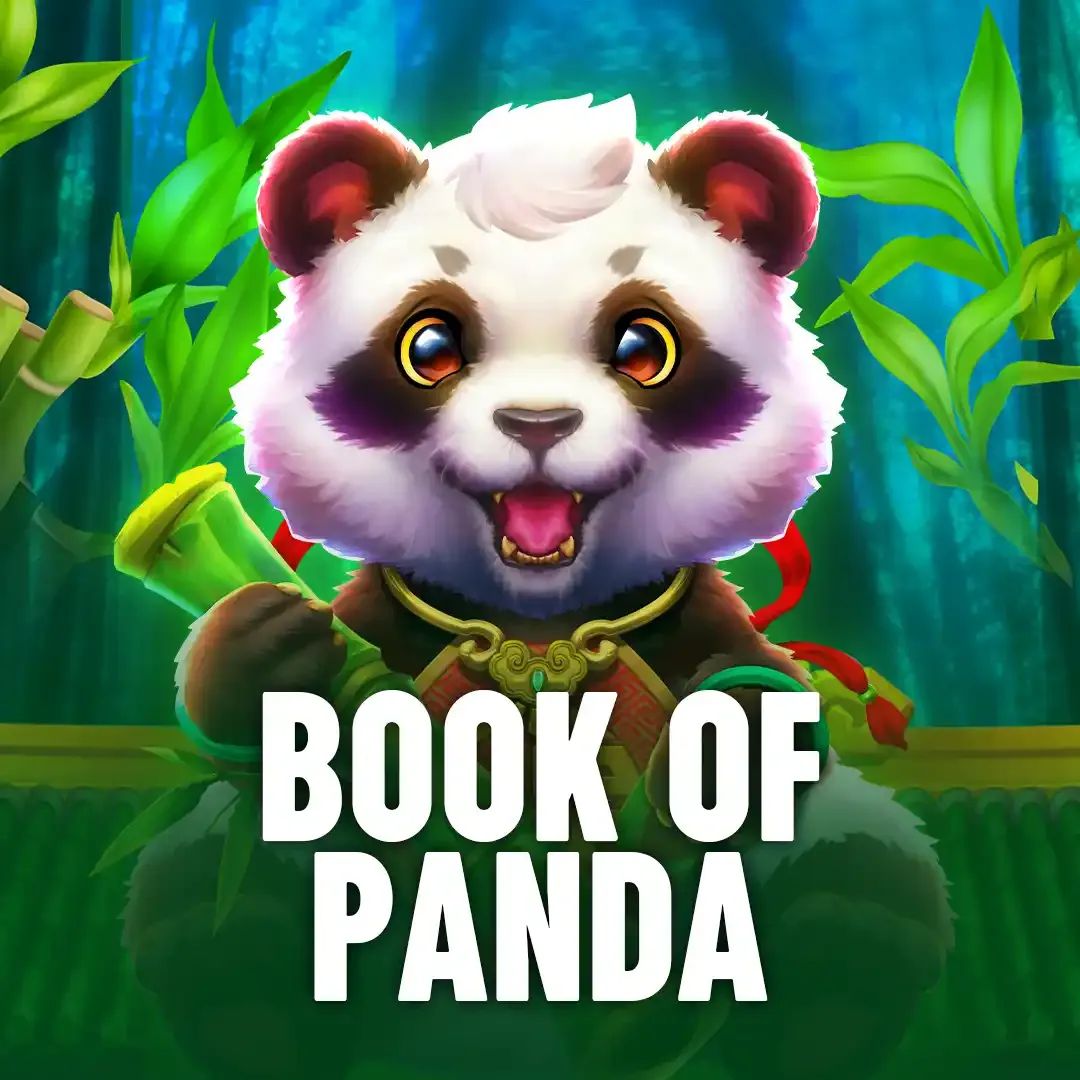 Big win apk download