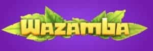 Blaze funciona