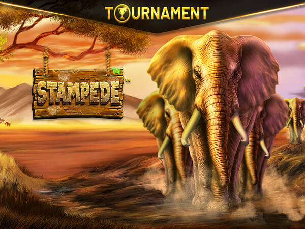 7 games cassino